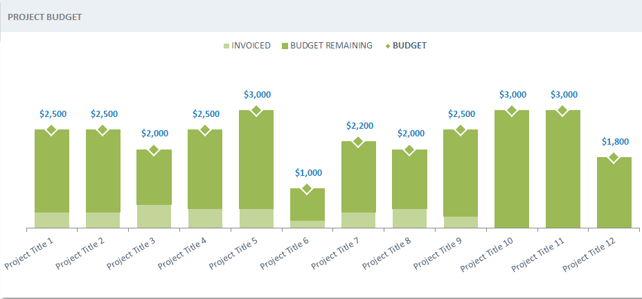 project budget graph